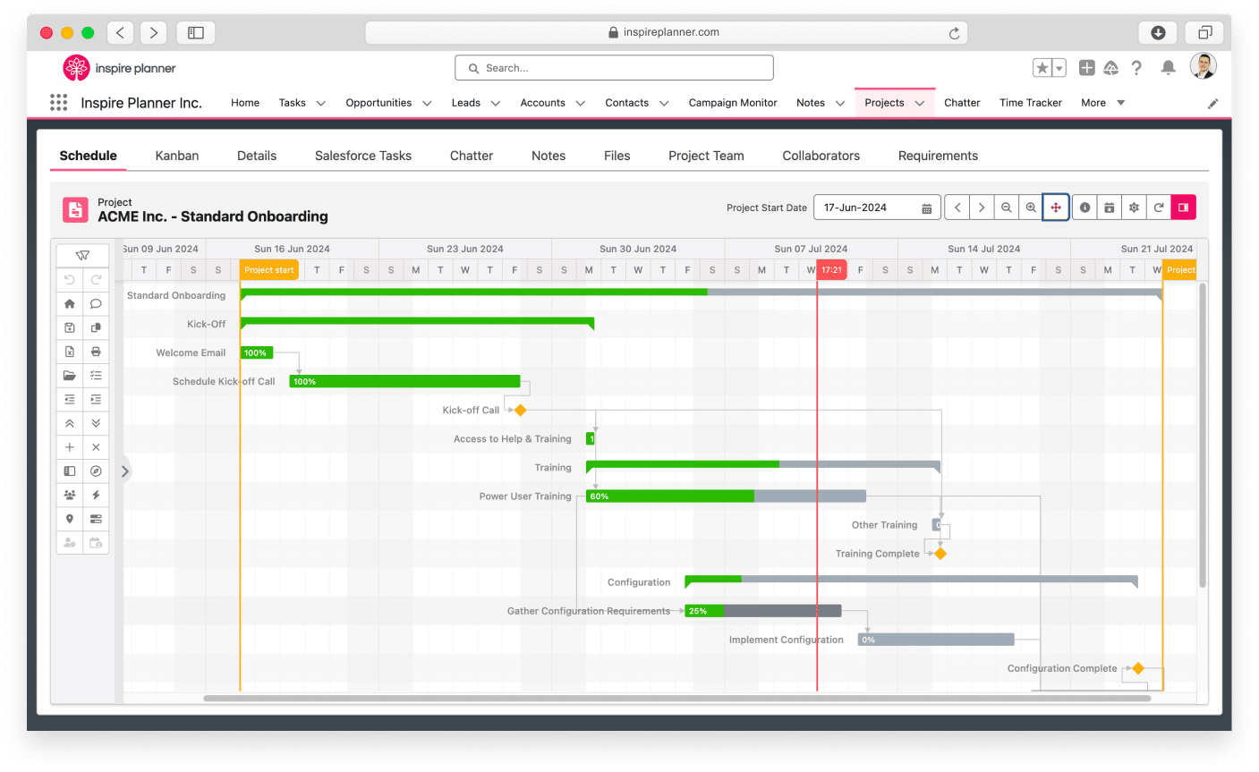 Inspire Planner interactive Gantt chart in Salesforce